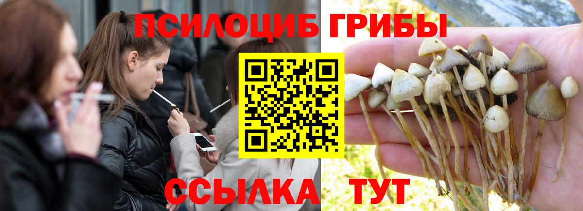 Псилоцибиновые грибы GOLDEN TEACHER Обнинск