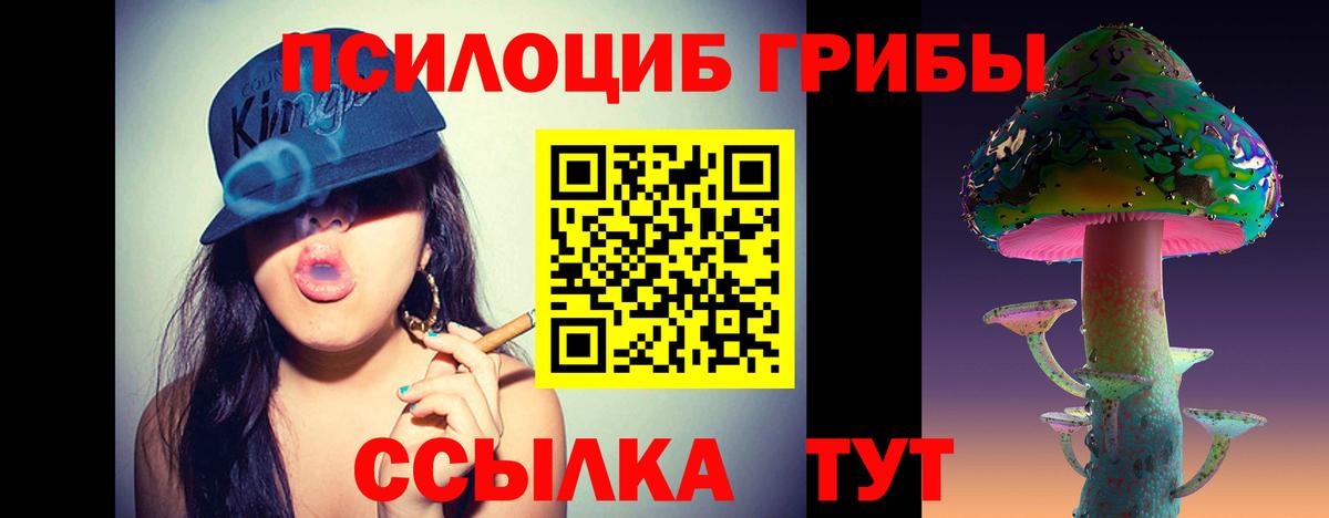 Псилоцибиновые грибы GOLDEN TEACHER  Галлюциногенные грибы мицелий  Обнинск  Вход с VPN 